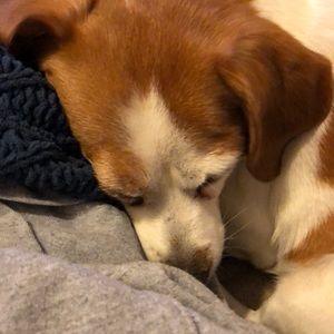 Meet your Posher, Kerry